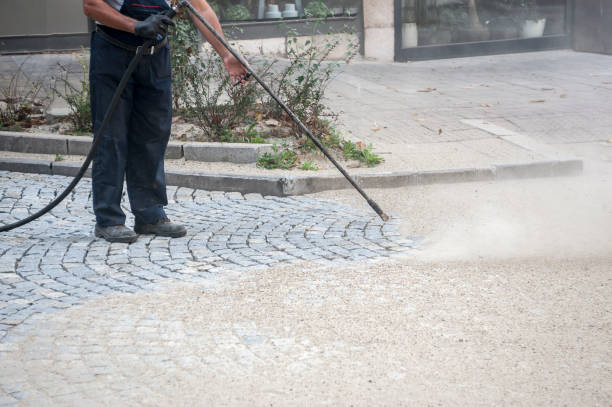 Best Pre-Holiday Cleaning  in Lansford, PA